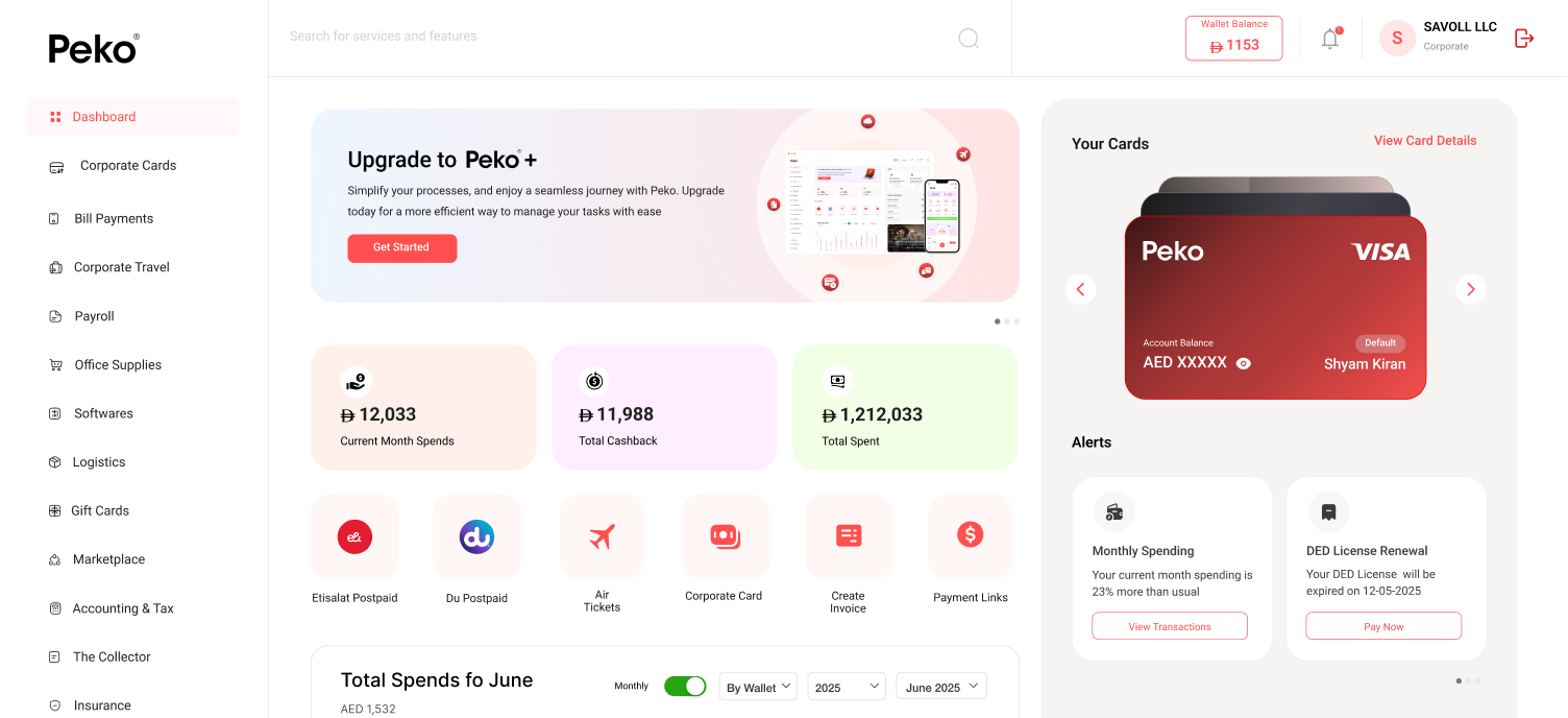 Centralized dashboard for better financial visibility for SMEs